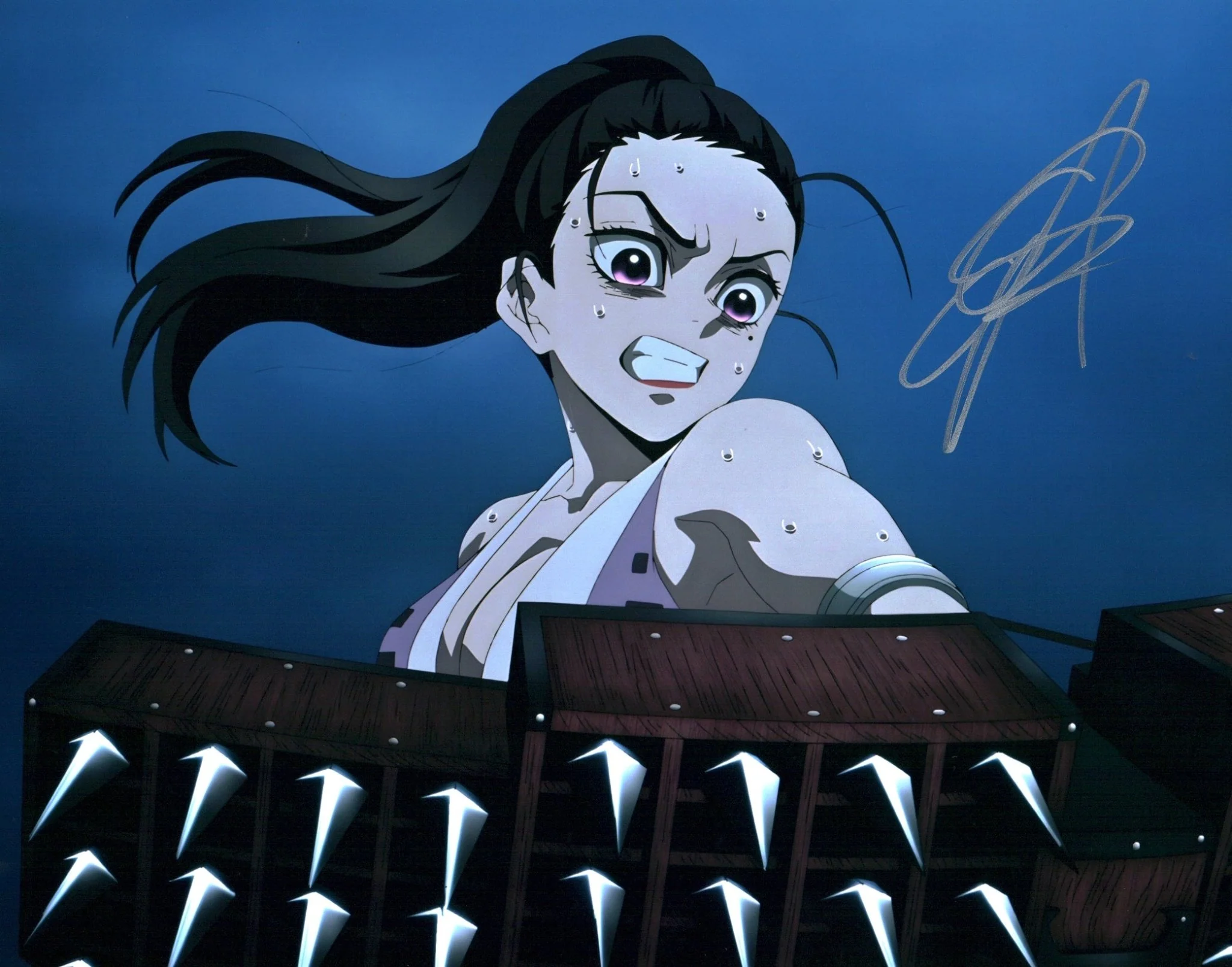 Anairis Quinones Demon Slayer 11x14 Photo Poster Signed JSA Certified Autograph - Image 3