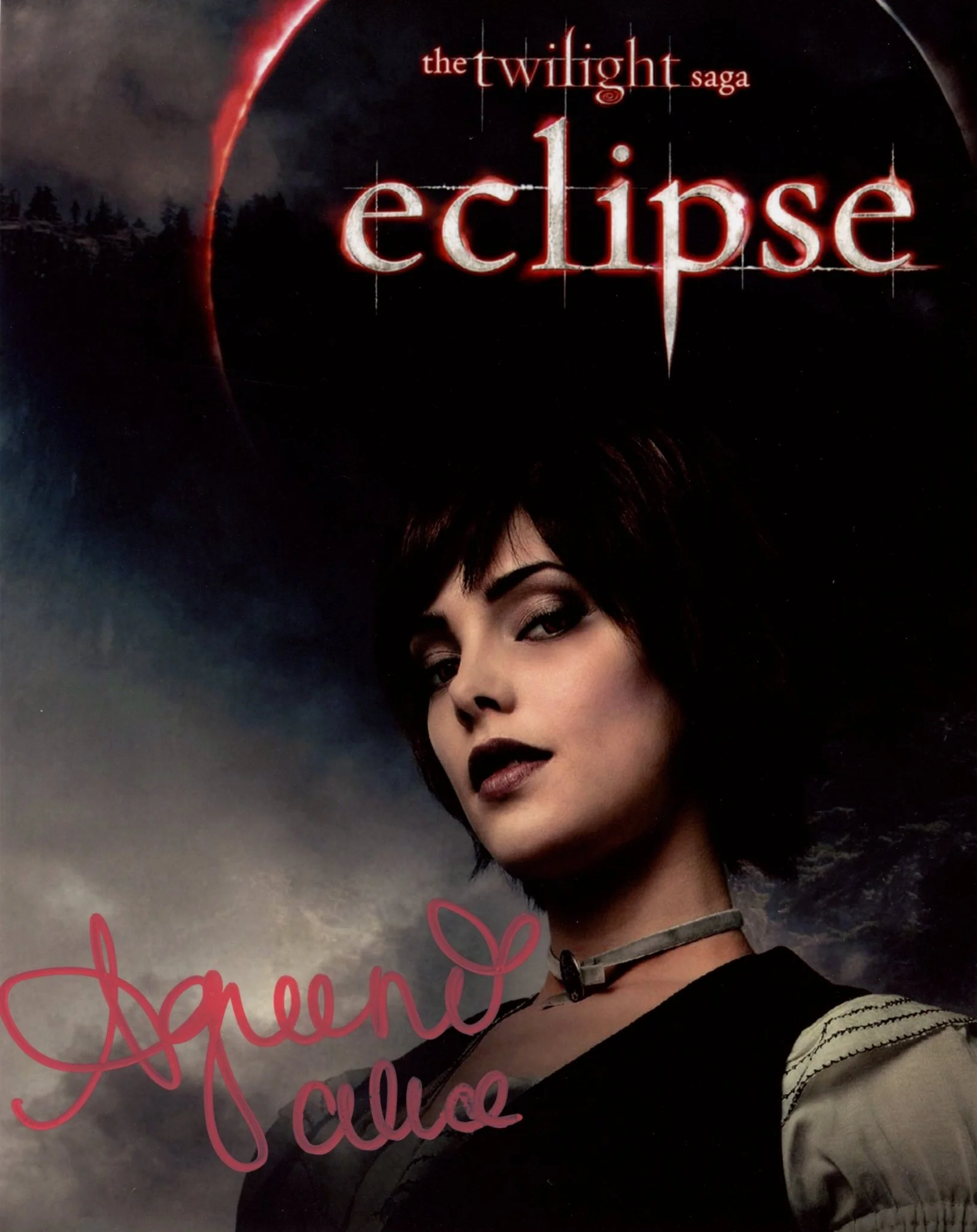 Ashley Greene Twilight 8x10 Photo Signed JSA Certified Autograph