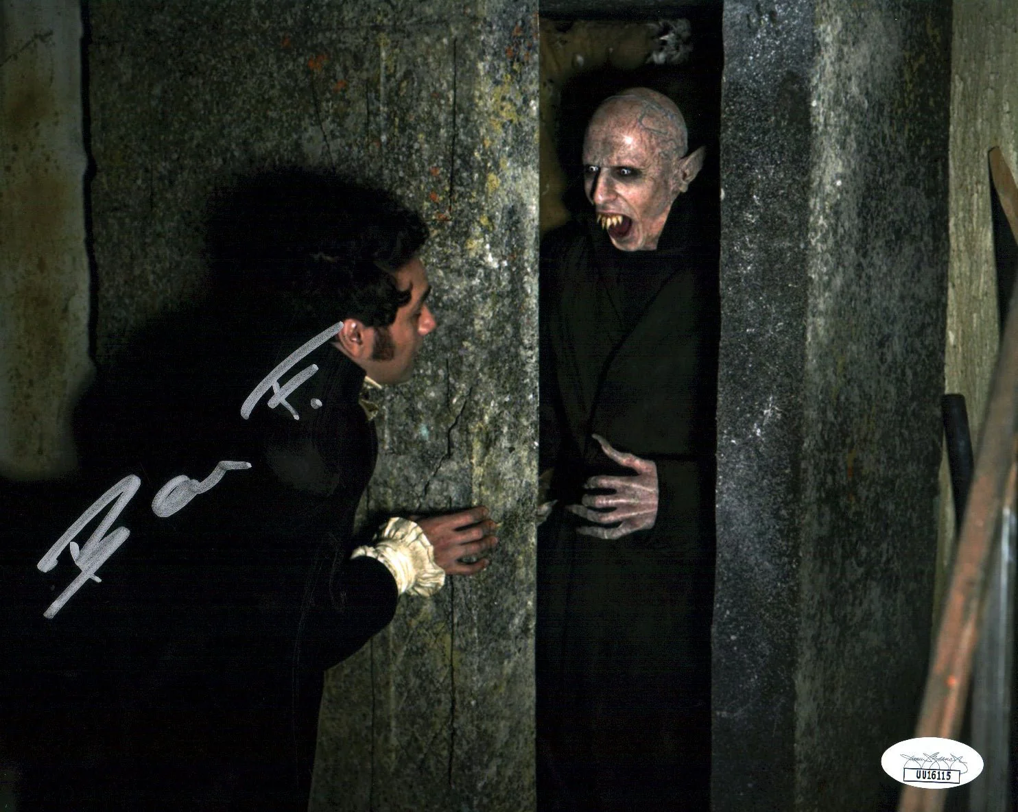 Benjamin Fransham What We Do In The Shadows 8x10 Photo Signed Autograph JSA Certified COA Auto