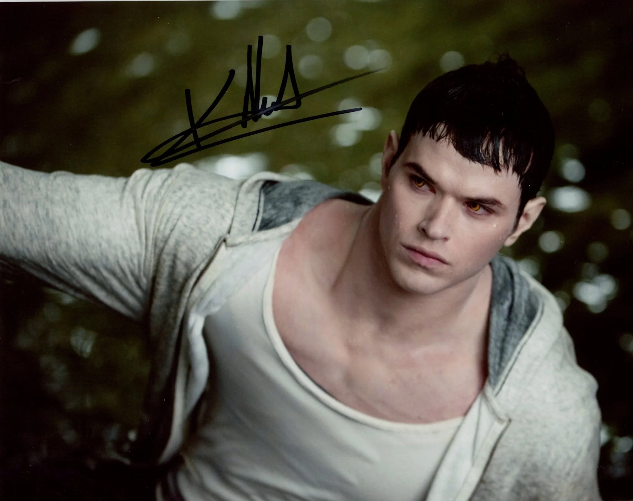 Kellan Lutz Twilight: Saga  8x10 Photo Signed JSA Certified Autograph - Image 2