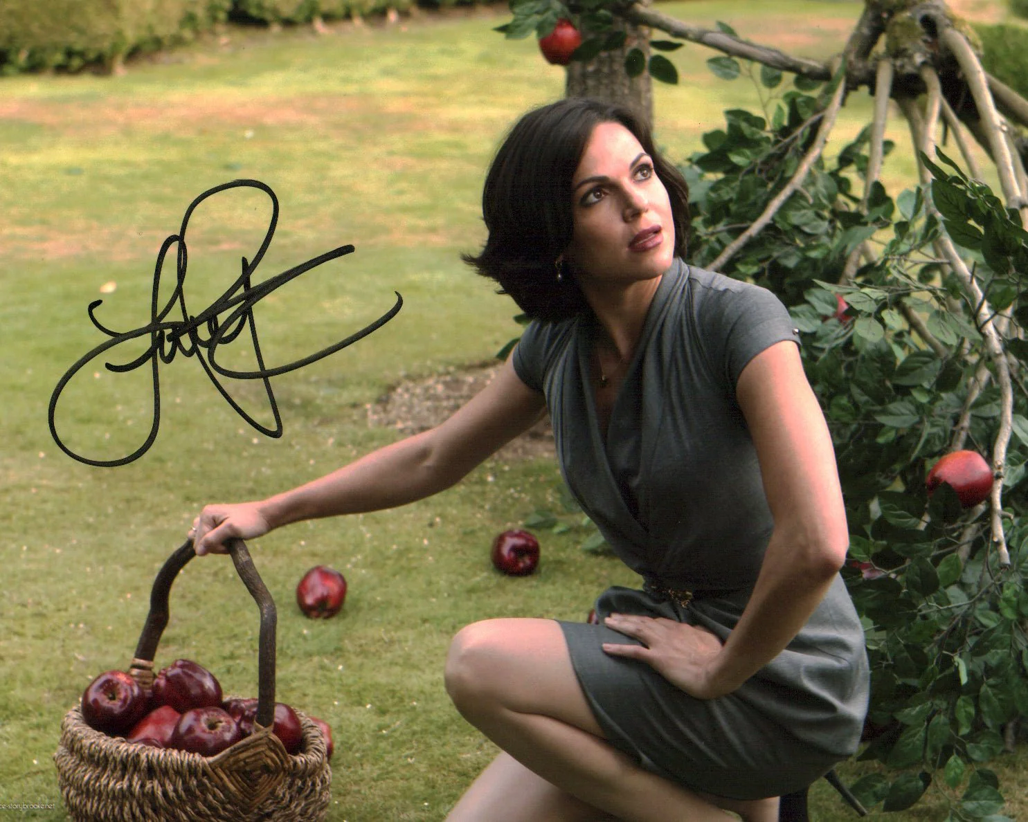Lana Parrilla Once Upon A Time 8x10 Signed Photo JSA Certified Autograph - Image 2