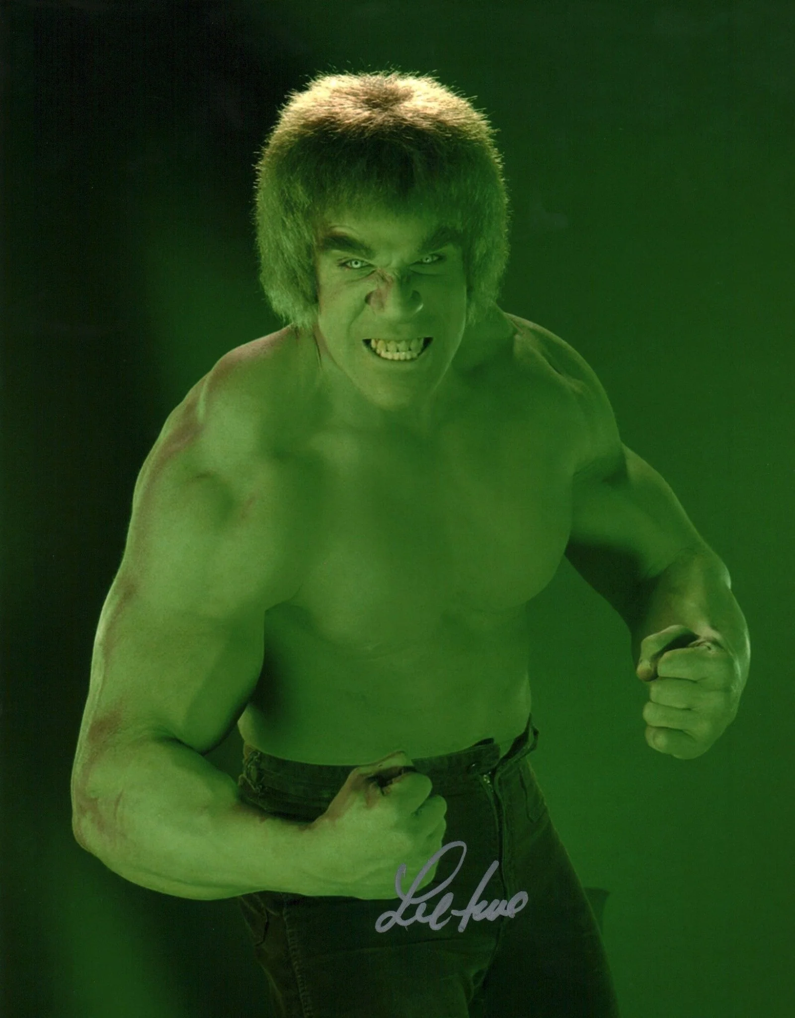 Lou Ferrigno The Incredible Hulk 11x14 Signed Photo Poster JSA Certified Autograph - Image 2