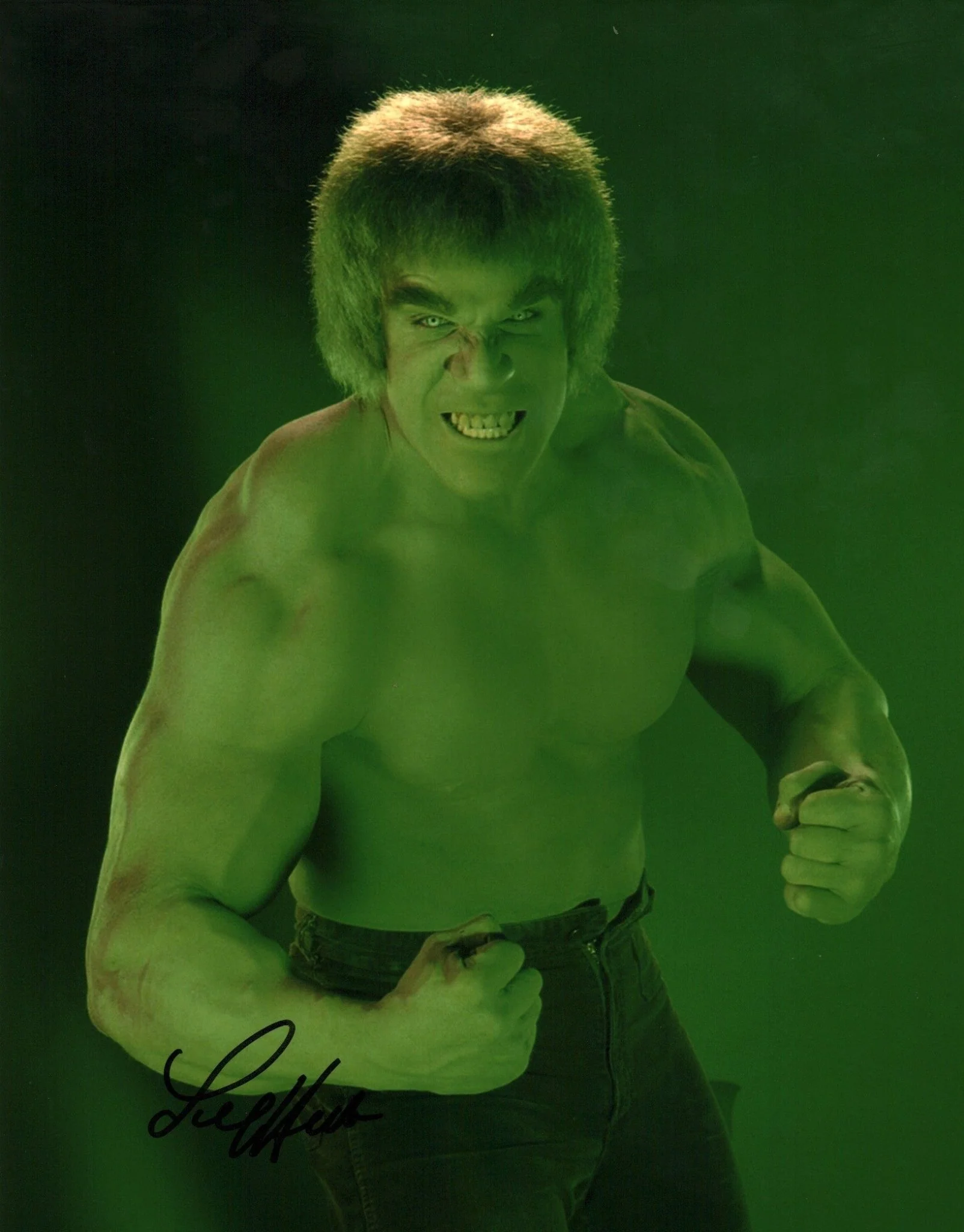Lou Ferrigno The Incredible Hulk 11x14 Signed Photo Poster JSA Certified Autograph - Image 3