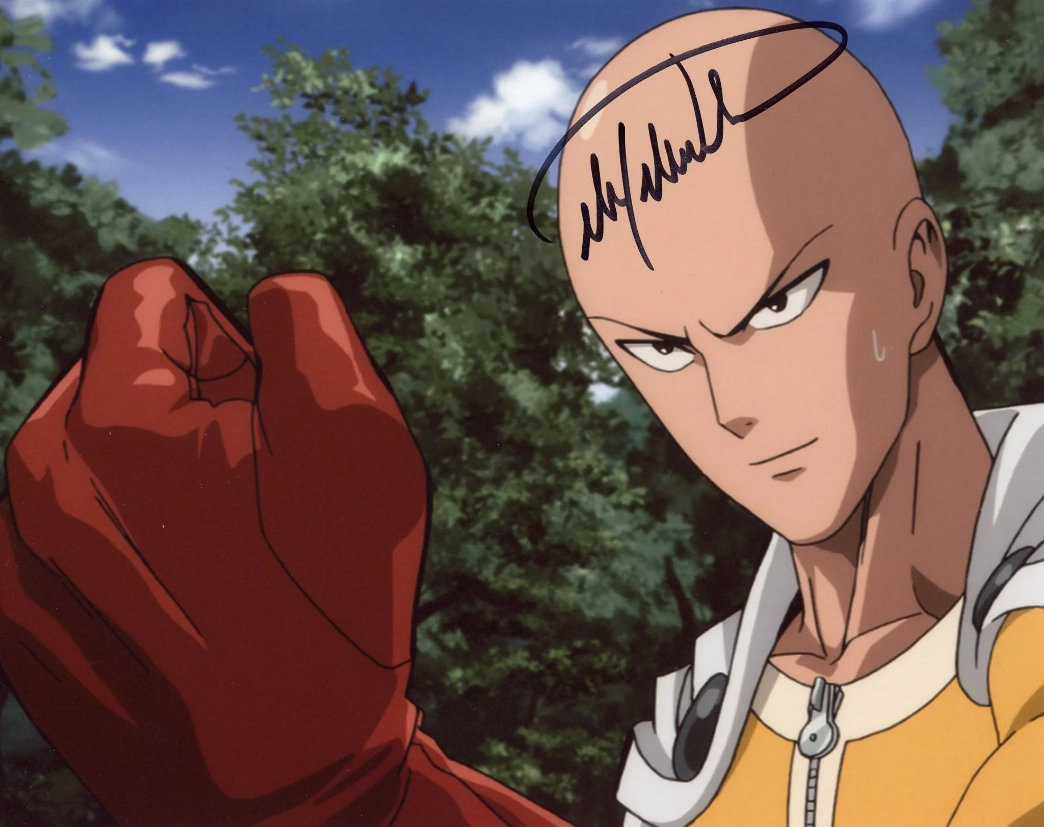 Max Mittelman One Punch Man 8x10 Photo Signed JSA Certified Autograph - Image 4