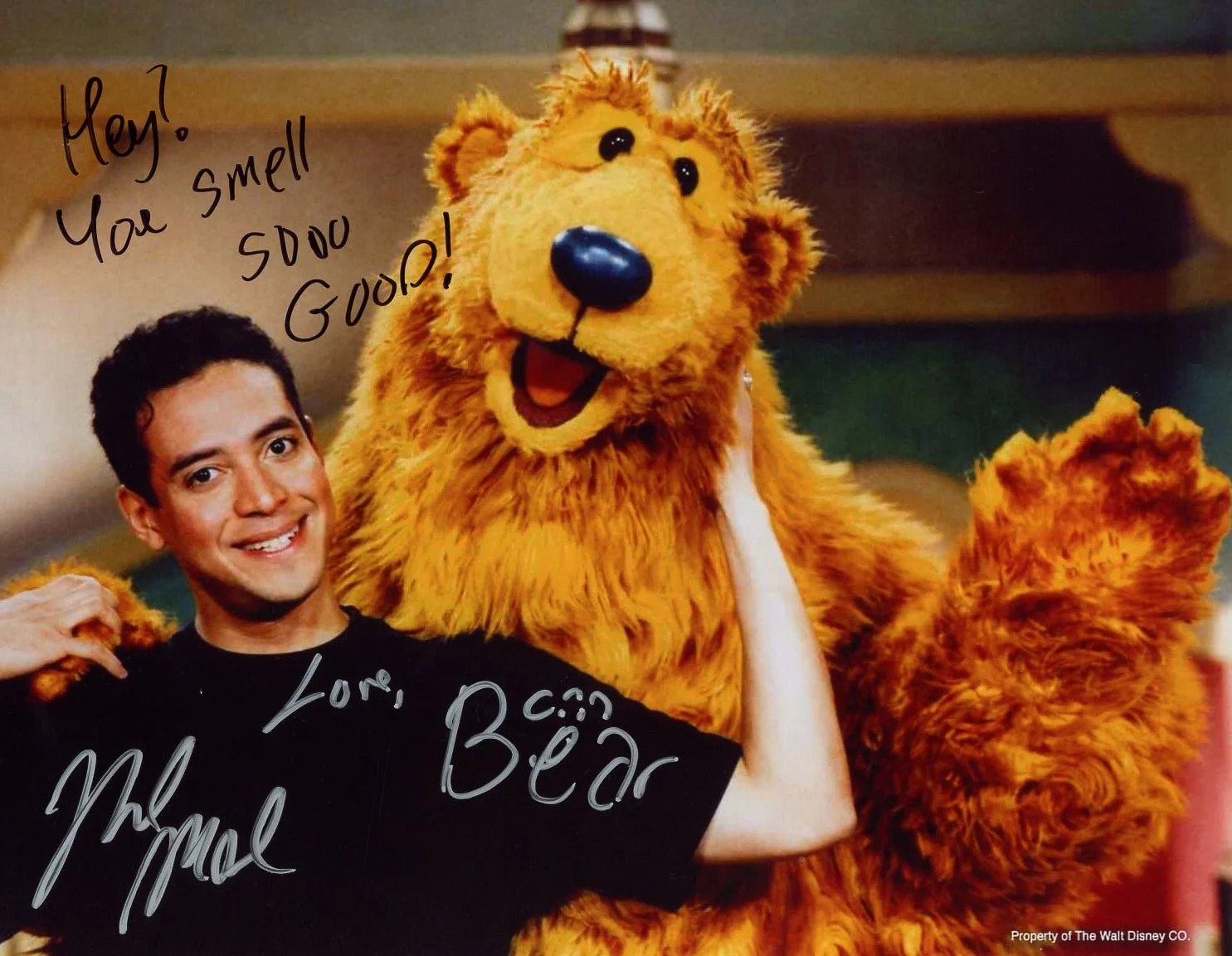 Noel MacNeal Bear in the Big Blue House 8x10 Signed Photo JSA Certified Autograph - Image 2