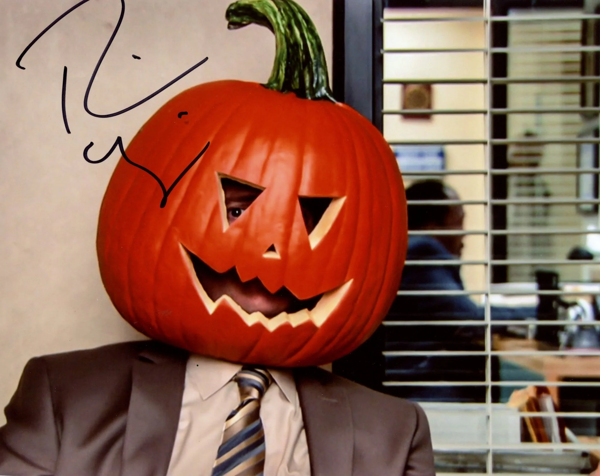Rainn Wilson The Office 8x10 Signed Photo JSA Certified Autograph