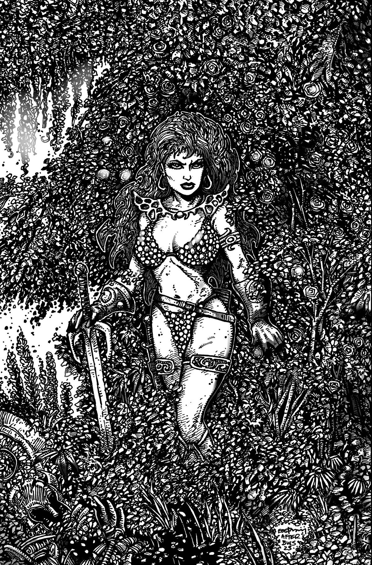Red Sonja #1 Cover ZA Eastman 1:30 Line Art Virgin Edition Variant Comic Book - Image 2