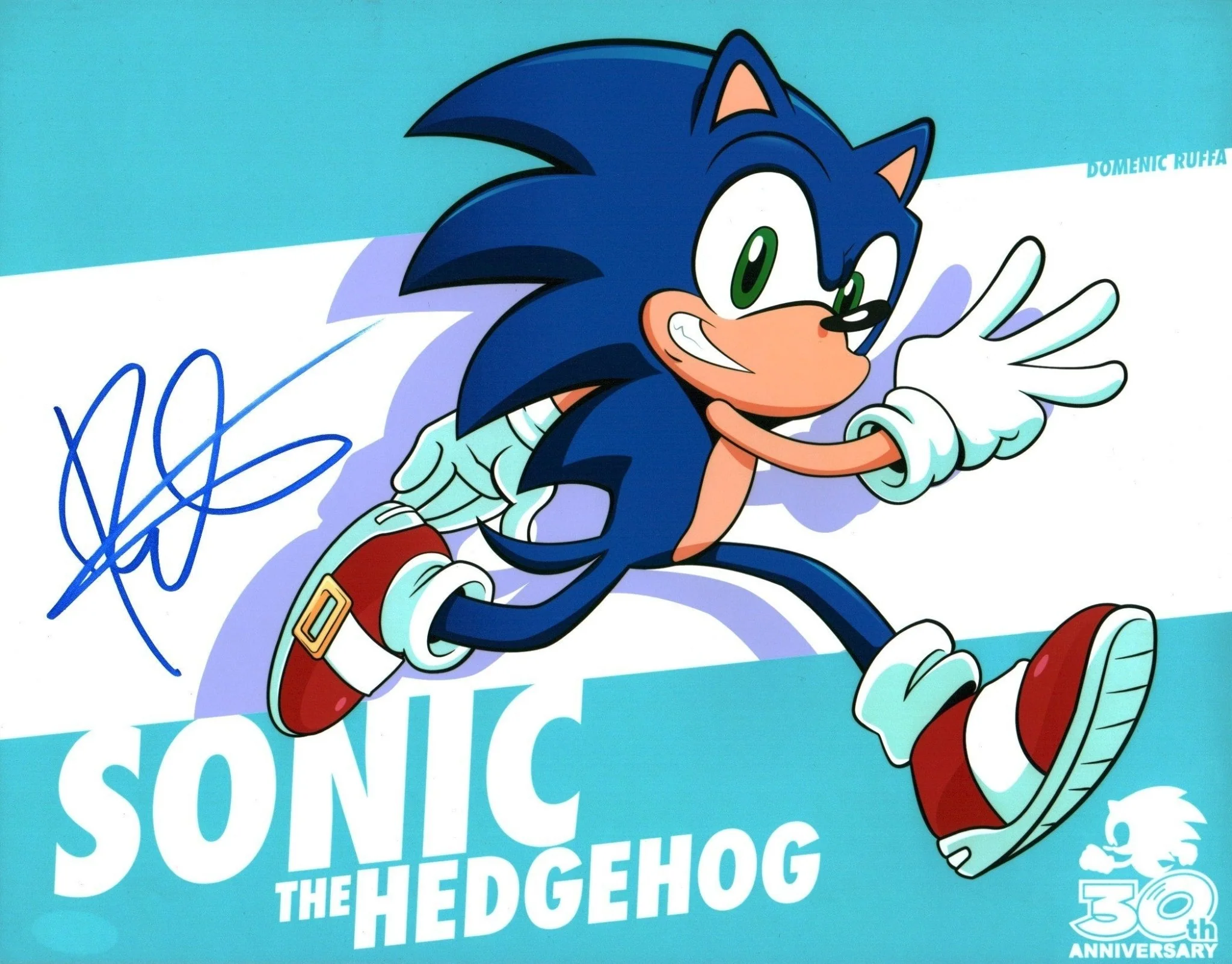 Roger Craig Smith Sonic 11x14 Signed Photo Poster JSA Certified Autograph