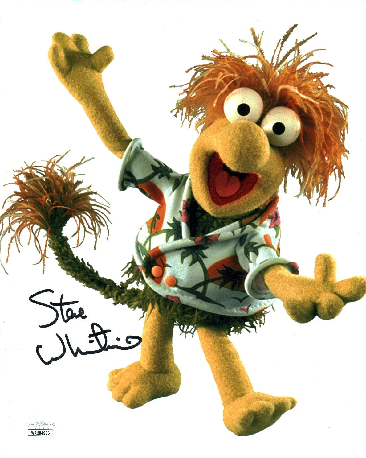 Steve Whitmire Fraggle Rock 8x10 Signed Photo JSA Certified Autograph