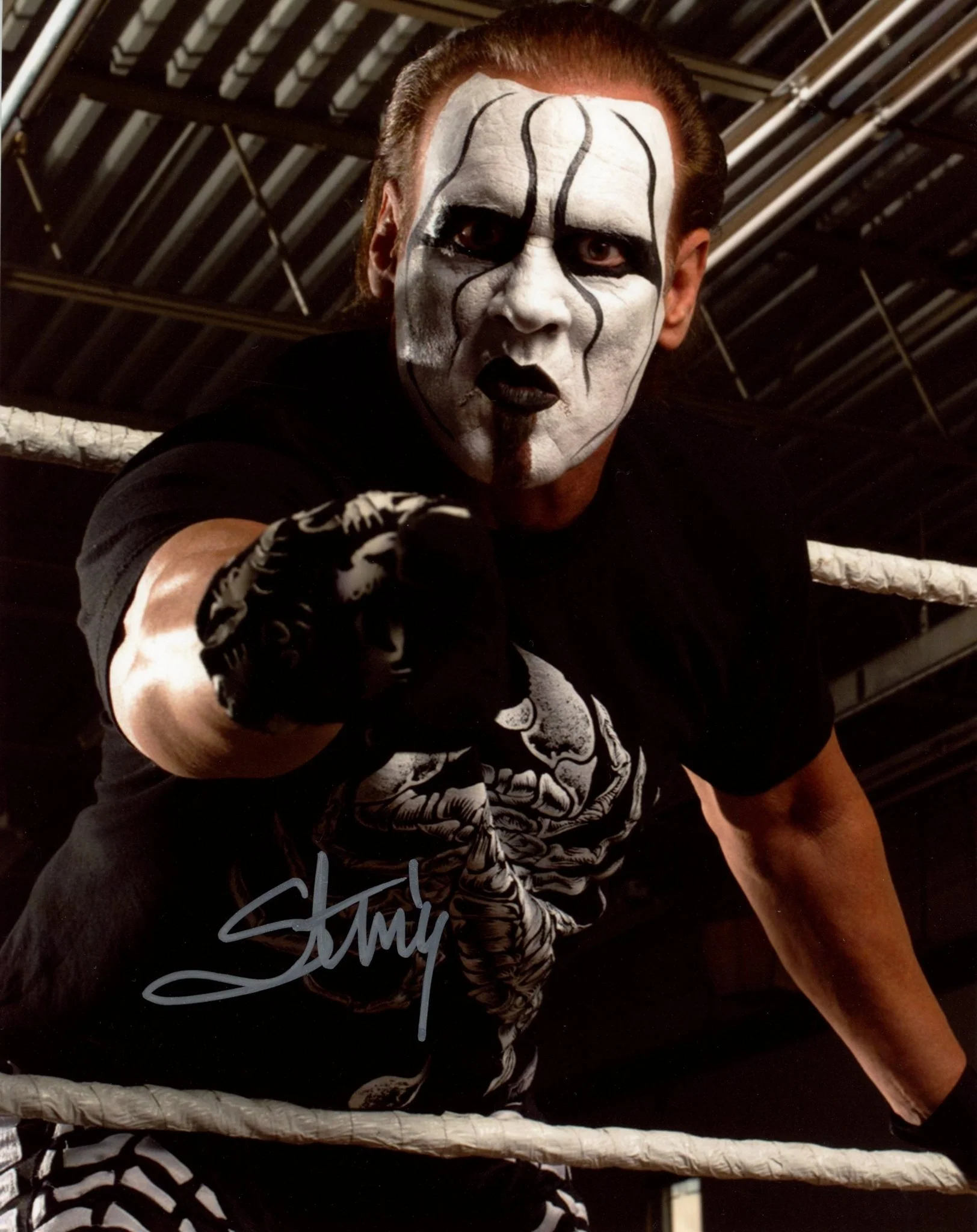 Sting AEW Wrestling 8x10 Signed Photo JSA Certified Autograph