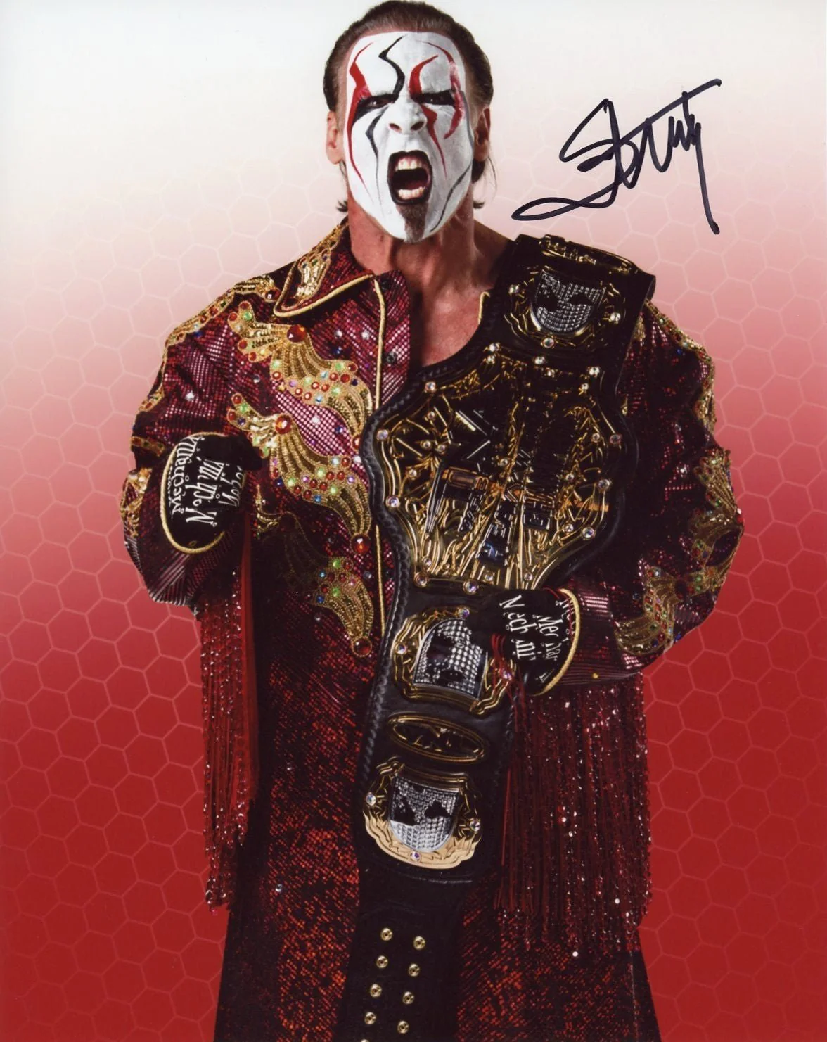 Sting AEW / WWE Wrestling 8x10 Signed Photo JSA Certified Autograph - Image 2
