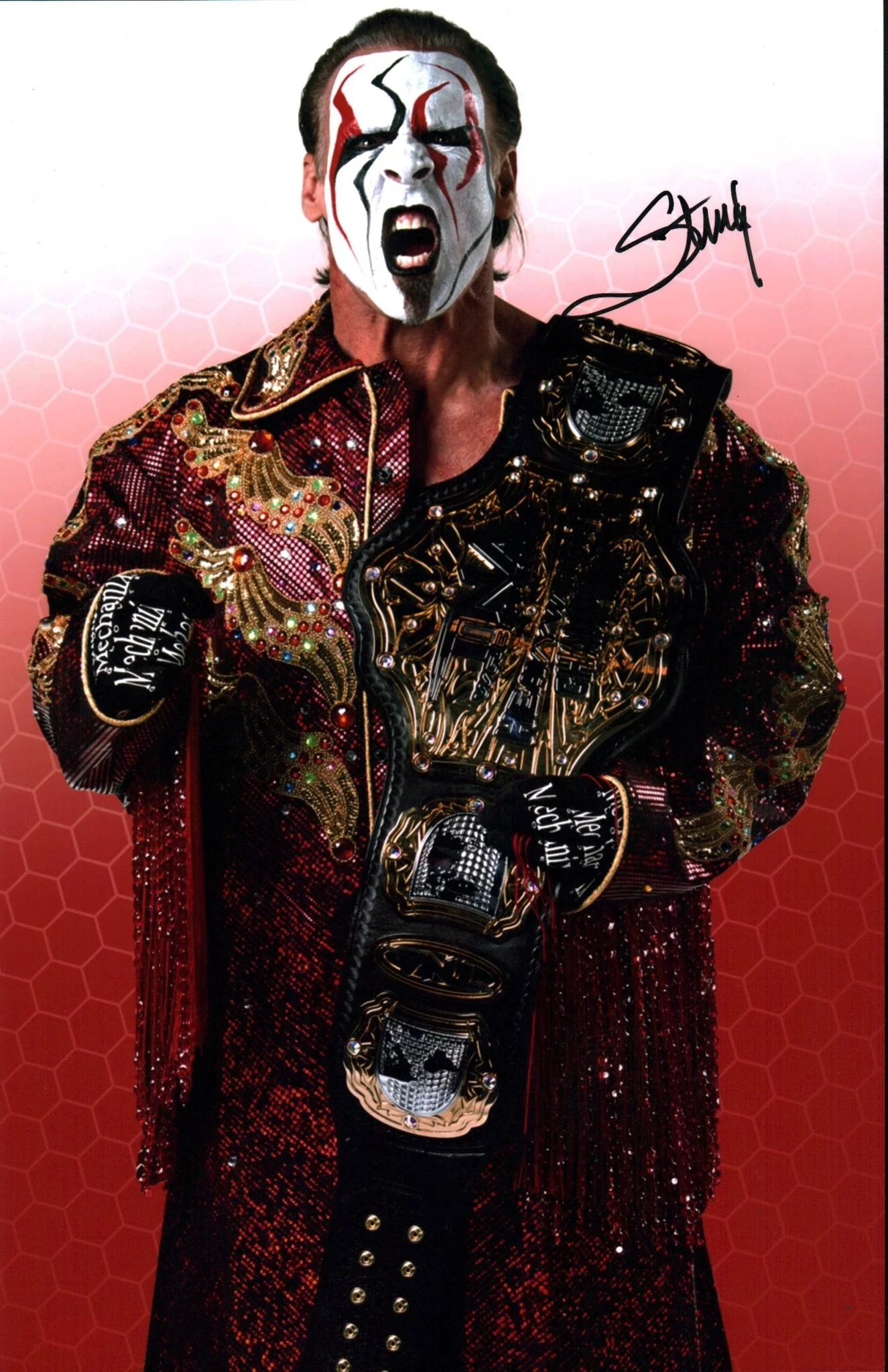 Sting WWE Wrestling 11x17 Photo Poster Signed JSA Certified Autograph - Image 2