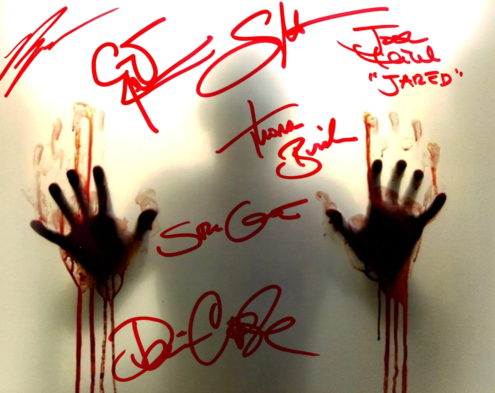 The Walking Dead 8x10 Signed Cast Photo JSA Certified Autograph