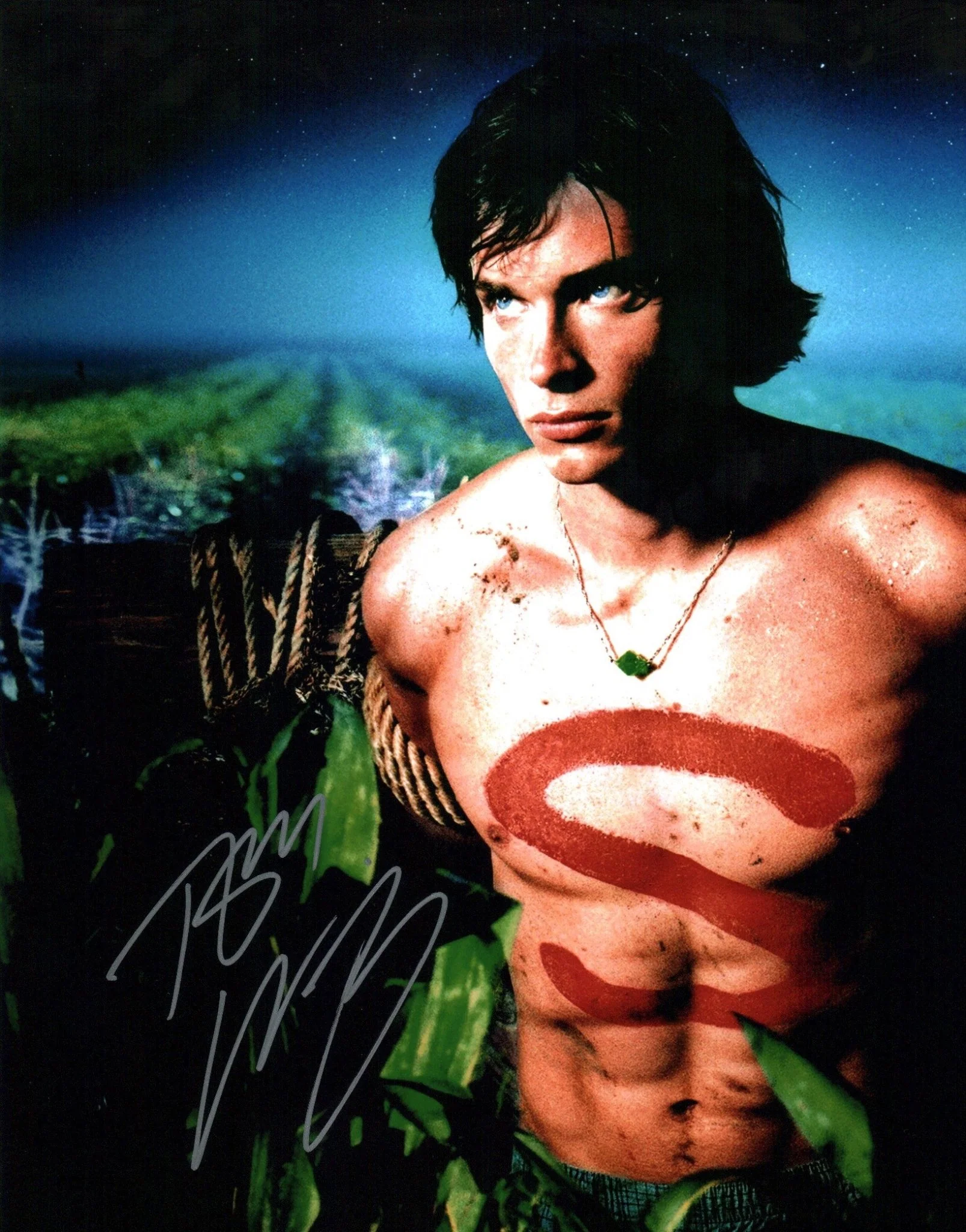 Tom Welling Smallville 11x14 Photo Poster Signed JSA Certified Autograph