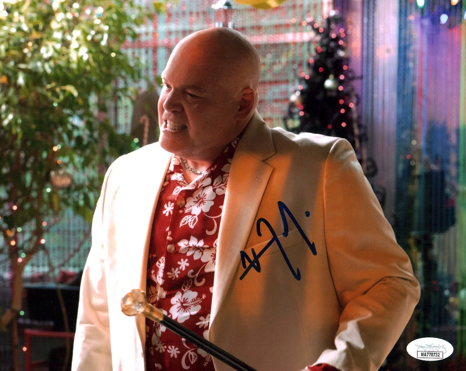 Vincent D'Onofrio Daredevil 8x10 Signed Photo JSA Certified Autograph - Image 2